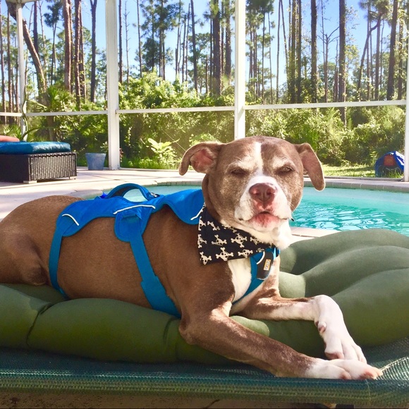 PLEASE LIKE NEW GAME! - Picture 7 of 12